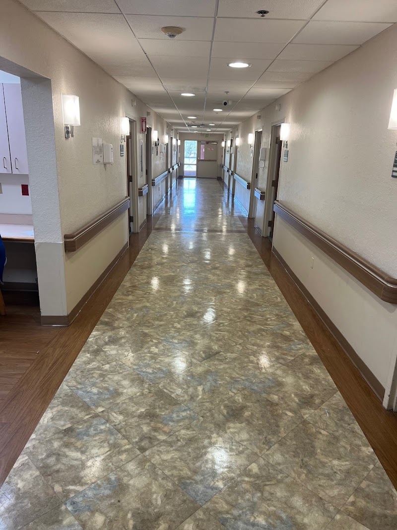 BAYSHORE POINTE NURSING AND REHAB CENTER nursing home in TAMPA, FL - Photo 3 of 5