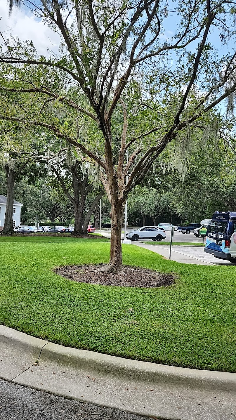 AVIATA AT CENTRAL PARK nursing home in BRANDON, FL - Photo 5 of 5