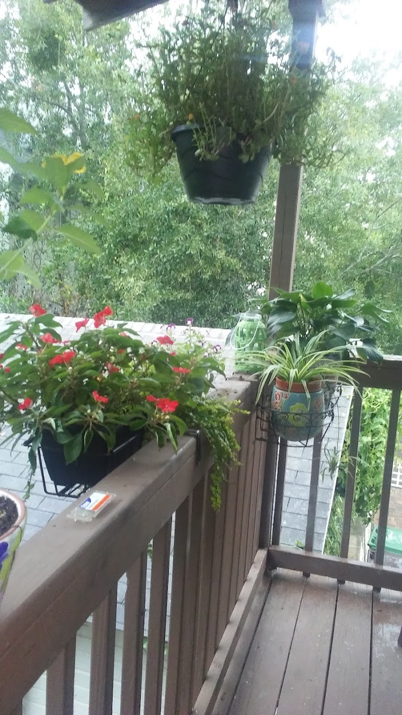 LILAC AT BAYVIEW, THE nursing home in SAINT AUGUSTINE, FL - Photo 4 of 5