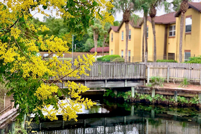 FOUNTAINS REHABILITATION AT MILL COVE nursing home in JACKSONVILLE, FL - Photo 2 of 10
