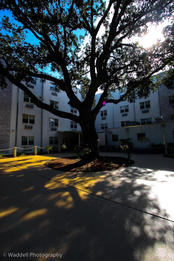 CORAL BAY AT PENSACOLA, LLC nursing home in PENSACOLA, FL - Photo 5 of 8