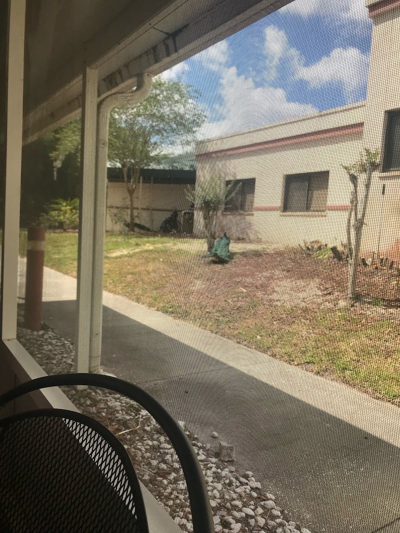 RIDGECREST HEALTHCARE AND REHABILITATION CENTER nursing home in DELAND, FL - Photo 3 of 5