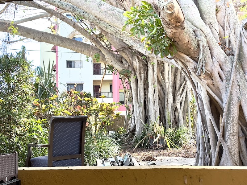 GULFPORT NURSING CENTER nursing home in PASADENA, FL - Photo 2 of 5