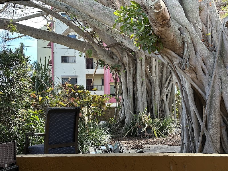 GULFPORT NURSING CENTER nursing home in PASADENA, FL - Photo 4 of 5