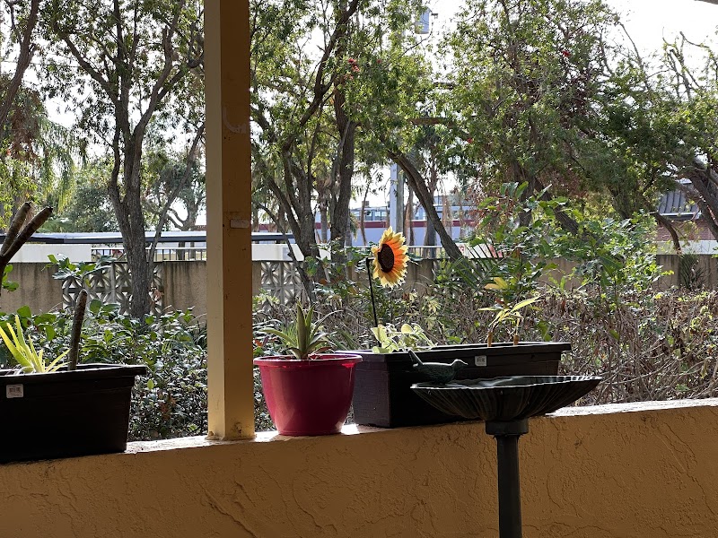 GULFPORT NURSING CENTER nursing home in PASADENA, FL - Photo 5 of 5