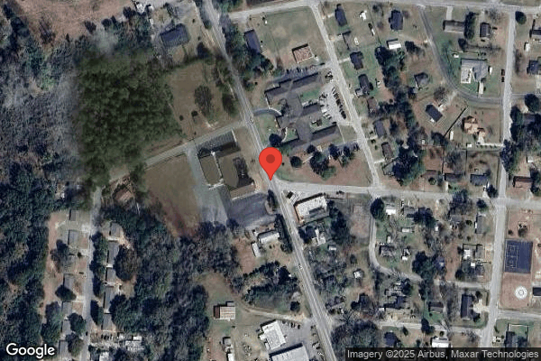 AZALEA HEALTH AND REHABILITATION nursing home in METTER, GA