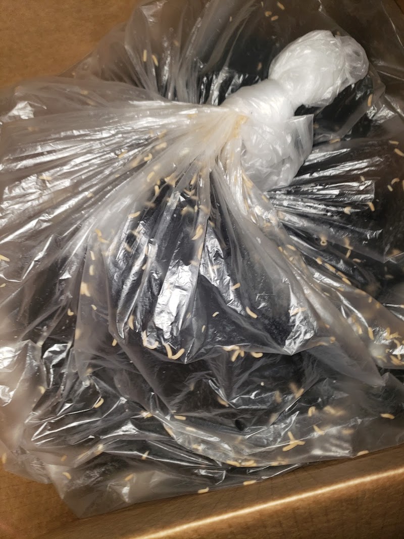 MEDICAL MANAGEMENT HEALTH AND REHAB CENTER nursing home in MACON, GA - Photo 2 of 3