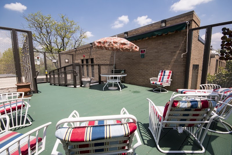 ELMHURST EXTENDED CARE CENTER nursing home in ELMHURST, IL - Photo 4 of 5