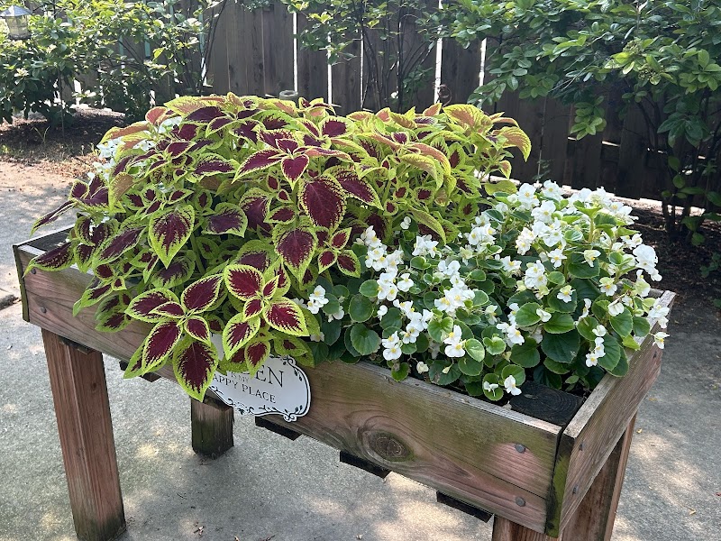 WYNSCAPE HEALTH & REHAB nursing home in WHEATON, IL - Photo 2 of 7