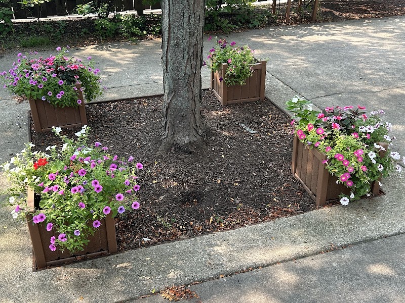 WYNSCAPE HEALTH & REHAB nursing home in WHEATON, IL - Photo 3 of 7