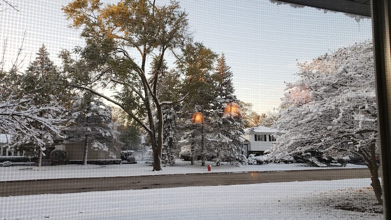 BRANDEL HEALTH AND REHAB nursing home in NORTHBROOK, IL - Photo 3 of 10