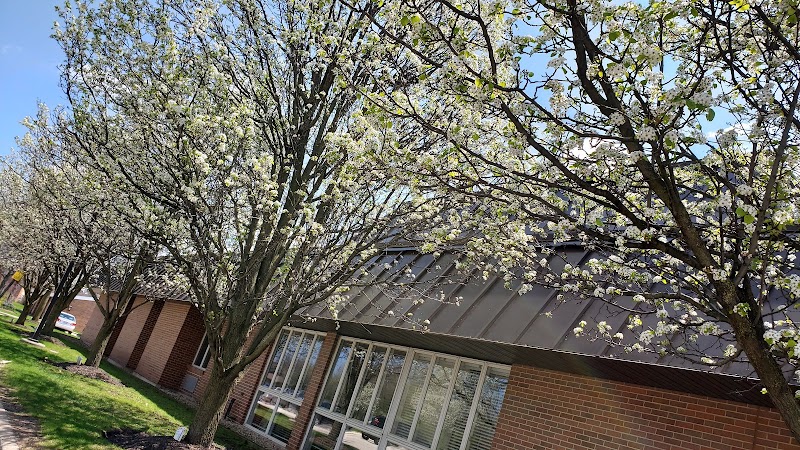 BRANDEL HEALTH AND REHAB nursing home in NORTHBROOK, IL - Photo 5 of 10