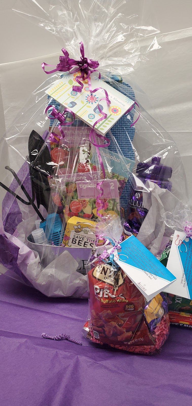 ALLURE OF LAKE STOREY nursing home in GALESBURG, IL - Photo 2 of 2