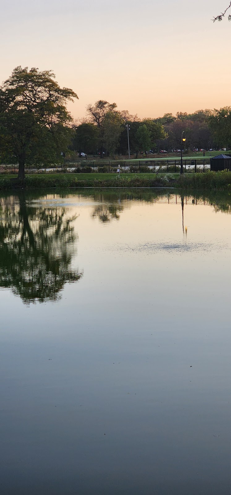 CALIFORNIA TERRACE nursing home in CHICAGO, IL - Photo 4 of 5