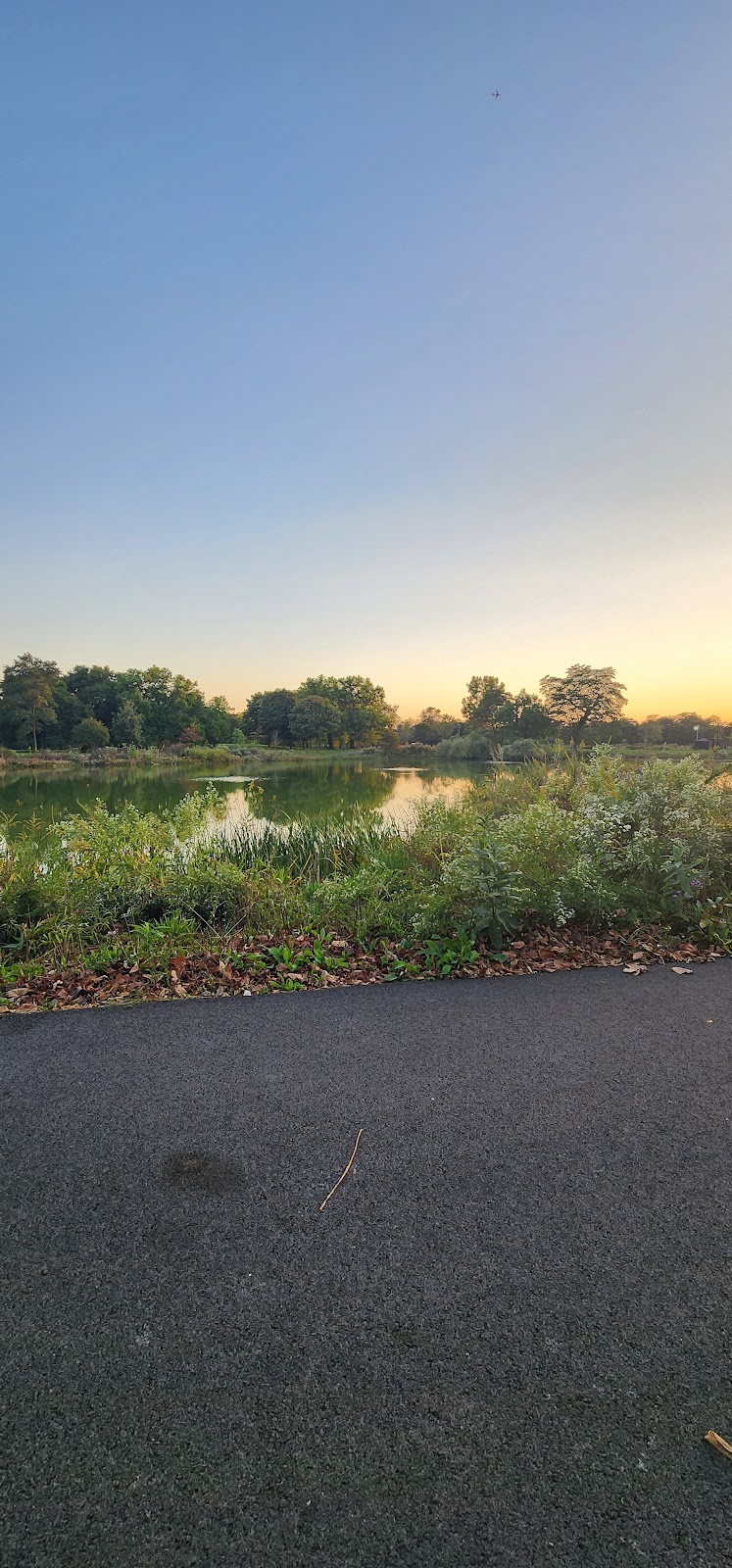 CALIFORNIA TERRACE nursing home in CHICAGO, IL - Photo 5 of 5