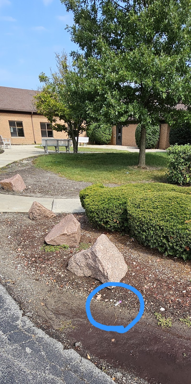 ALIYA OF HOMEWOOD nursing home in HOMEWOOD, IL - Photo 4 of 10