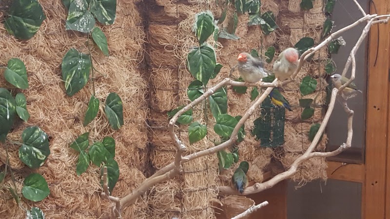 SILVIS CENTER FOR NURSING REHAB & CARE nursing home in SILVIS, IL - Photo 4 of 5