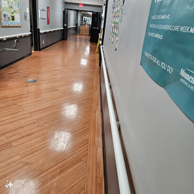 MOMENCE MEADOWS NURSING & REHAB nursing home in MOMENCE, IL - Photo 4 of 5