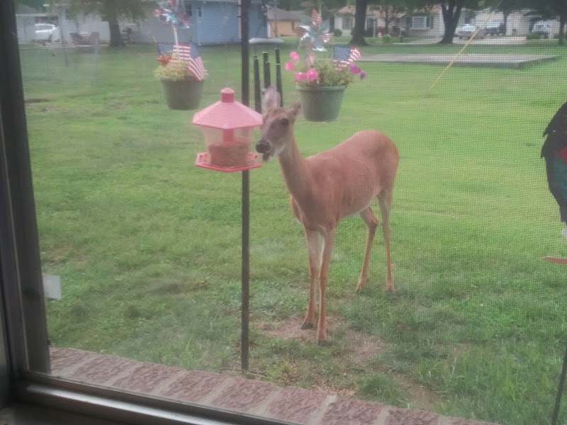 ROBINSON REHAB AND NURSING nursing home in ROBINSON, IL - Photo 2 of 5