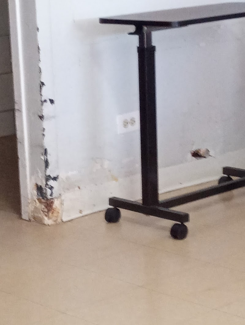 KENSINGTON PLACE NRSG & REHAB nursing home in CHICAGO, IL - Photo 4 of 5