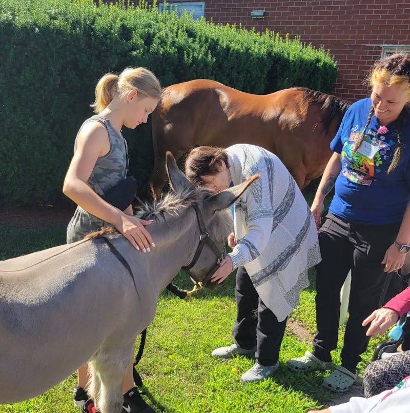 ALLURE OF PROPHETSTOWN nursing home in PROPHETSTOWN, IL - Photo 3 of 5