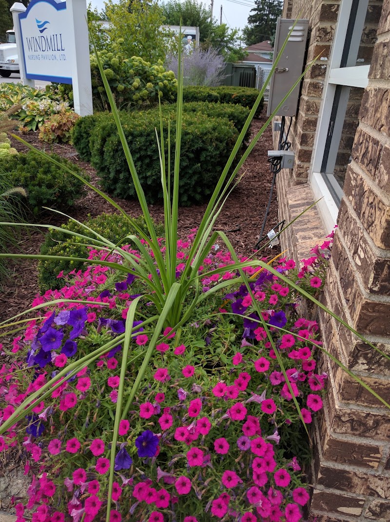 PRAIRIE OASIS nursing home in SOUTH HOLLAND, IL - Photo 5 of 5