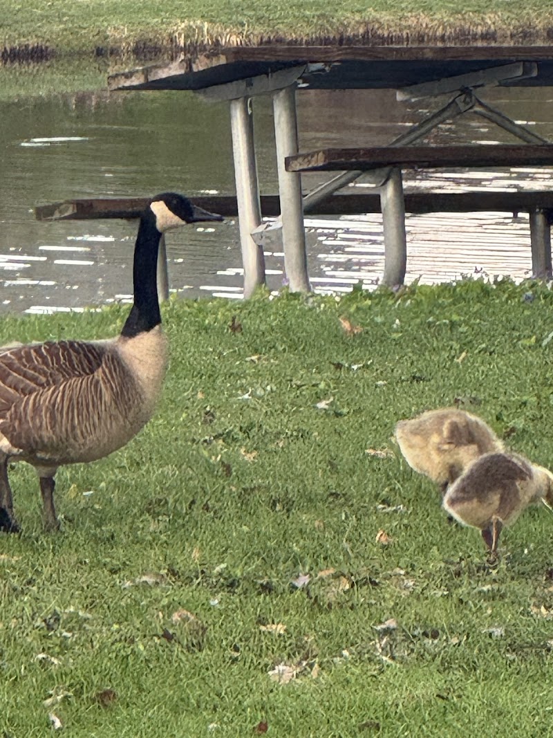 PILGRIM MANOR nursing home in PLYMOUTH, IN - Photo 2 of 3
