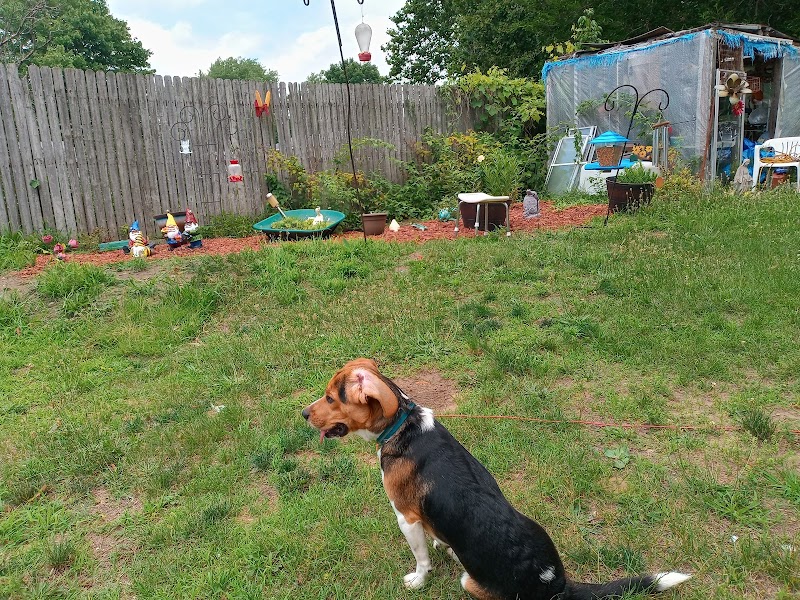 MONTICELLO HEALTHCARE nursing home in MONTICELLO, IN - Photo 4 of 5