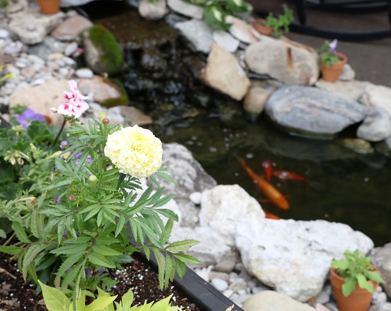 HICKORY CREEK AT MADISON nursing home in MADISON, IN - Photo 5 of 5