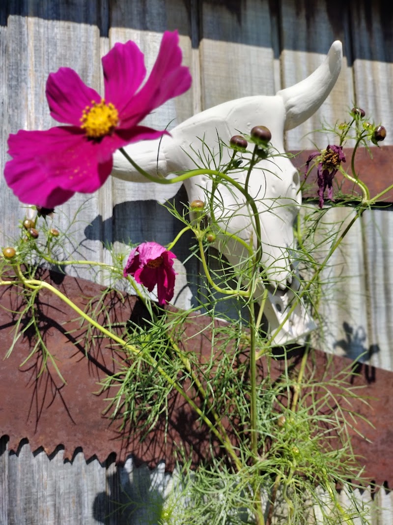 SUMMIT HEALTH AND LIVING nursing home in SUMMITVILLE, IN - Photo 5 of 7