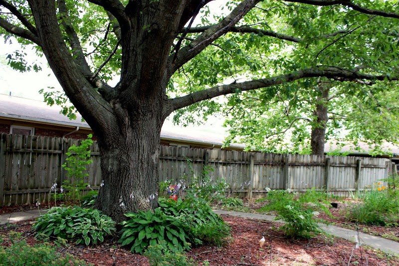 Accura Healthcare of Pleasantville, LLC nursing home in Pleasantville, IA - Photo 5 of 5