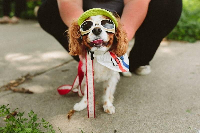 Lakeside Lutheran Home nursing home in Emmetsburg, IA - Photo 4 of 5