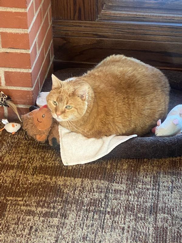 The Alverno Health Care Facility nursing home in Clinton, IA - Photo 4 of 5