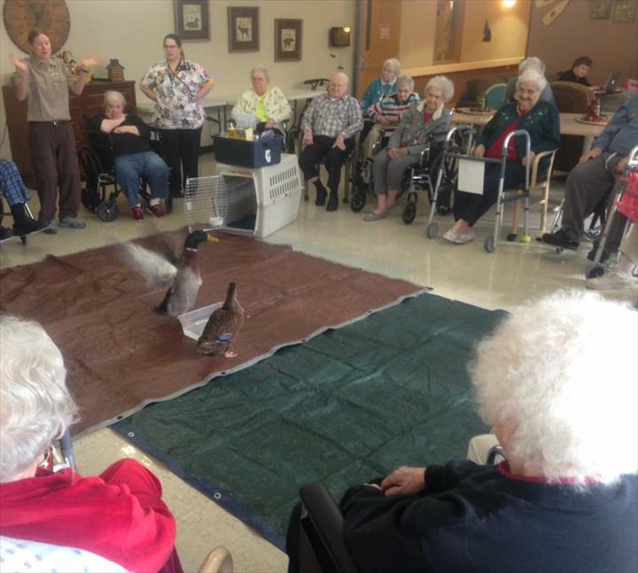 Cedar Manor Nursing Home nursing home in Tipton, IA - Photo 2 of 5