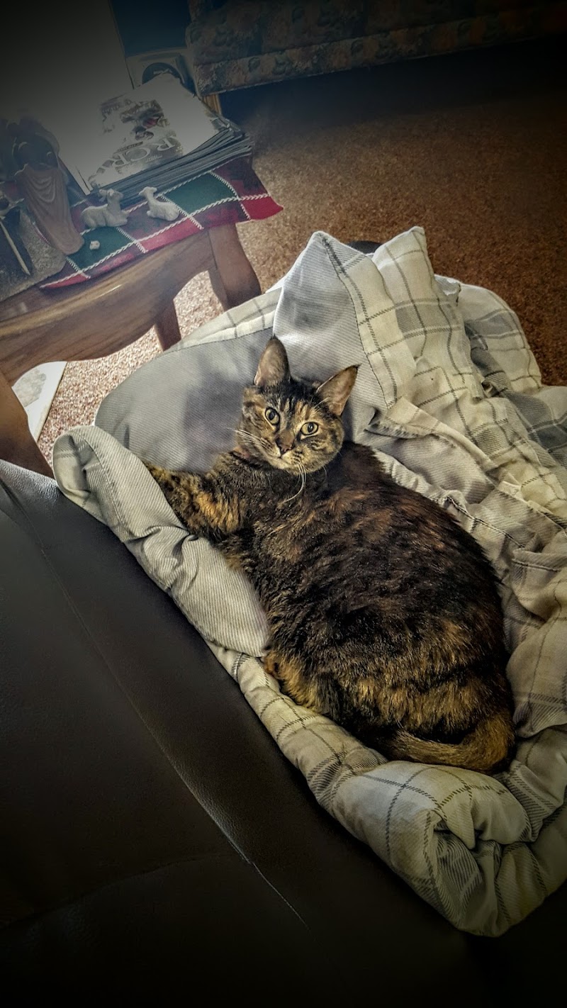 EL DORADO CARE AND REHAB nursing home in EL DORADO, KS - Photo 5 of 5