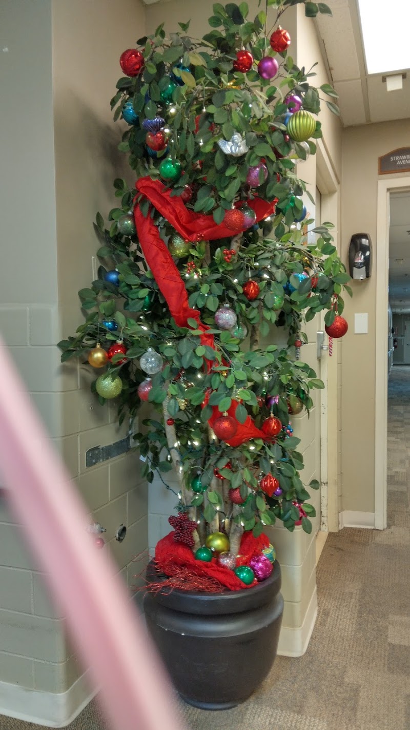 WELLINGTON HEALTH AND REHAB nursing home in WELLINGTON, KS - Photo 4 of 7