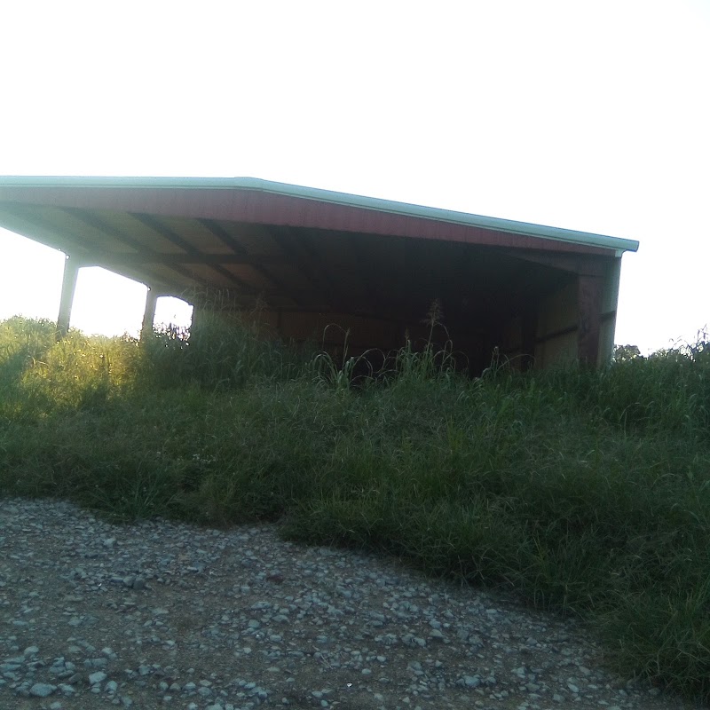 Salem Springlake Health & Rehabilitation Center nursing home in Salem, KY - Photo 4 of 5