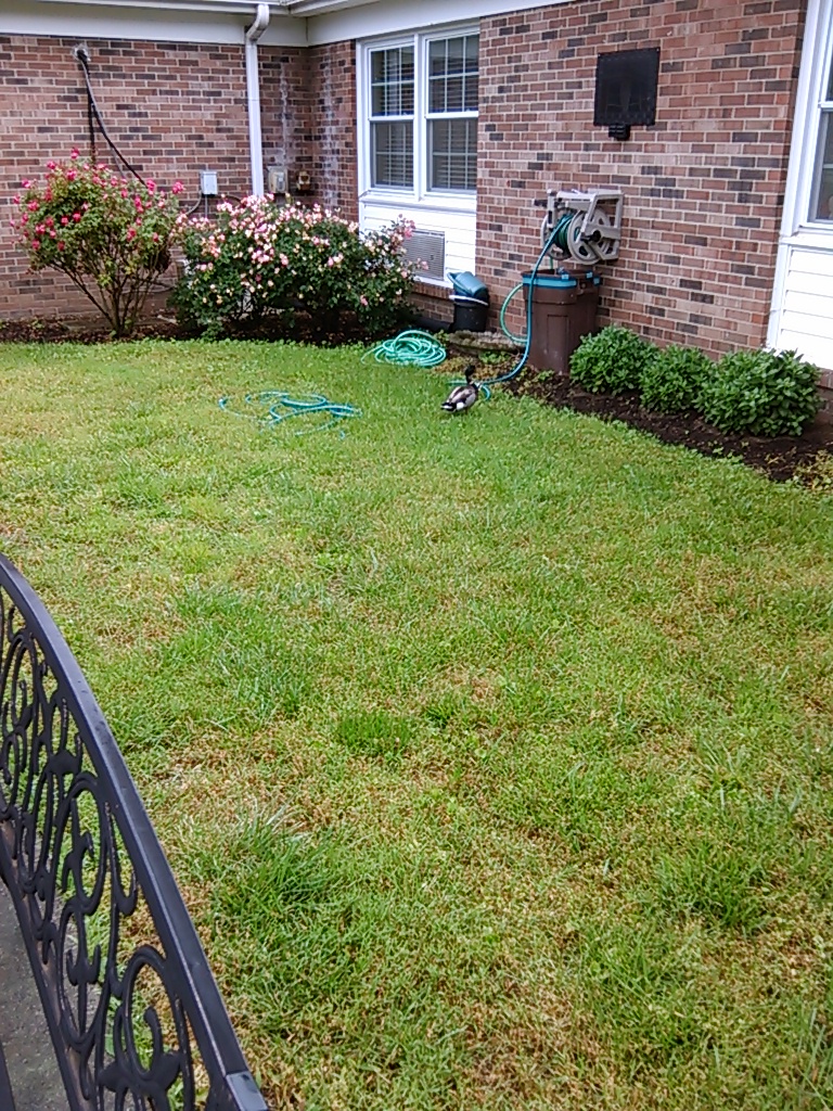 MAYFAIR MANOR nursing home in LEXINGTON, KY - Photo 5 of 5