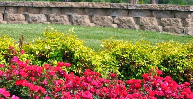 Lake Way Rehabilitation and Healthcare Center nursing home in Benton, KY - Photo 2 of 5