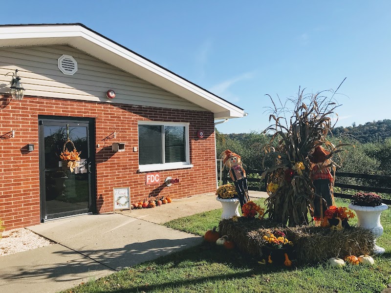 WEST LIBERTY NURSING AND REHABILITATION nursing home in WEST LIBERTY, KY - Photo 2 of 5