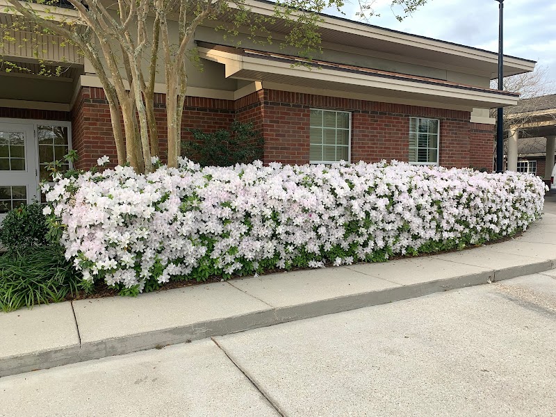 Ascension Oaks Nursing & Rehab Center nursing home in GONZALES, LA - Photo 5 of 5