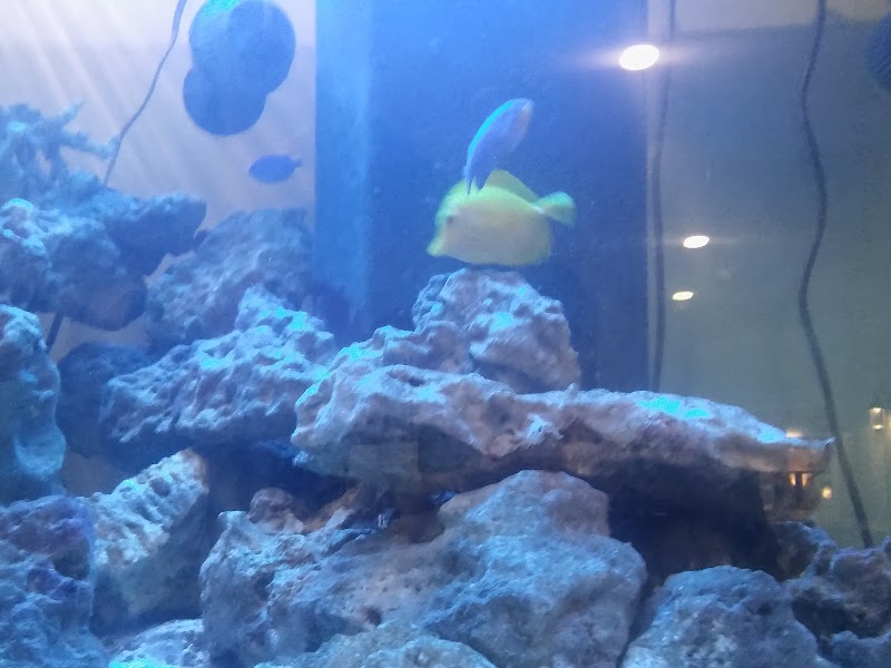 LEGACY NURSING AND REHABILITATION OF TALLULAH nursing home in TALLULAH, LA - Photo 2 of 4