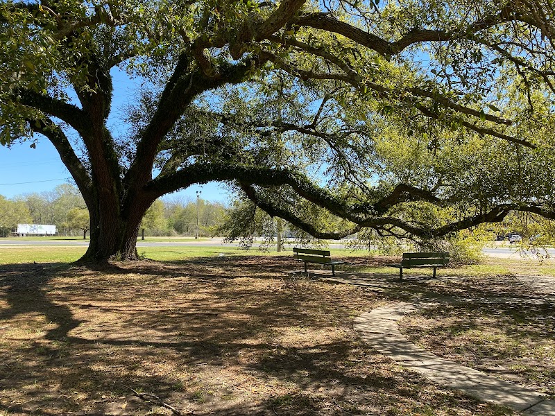 PLANTATION OAKS NURSING & REHABILITATION CENTER nursing home in WISNER, LA - Photo 2 of 5