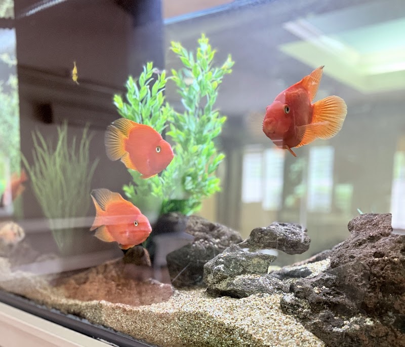 Colonial Oaks Skilled Nursing and Rehabilitation nursing home in Bossier City, LA - Photo 5 of 5