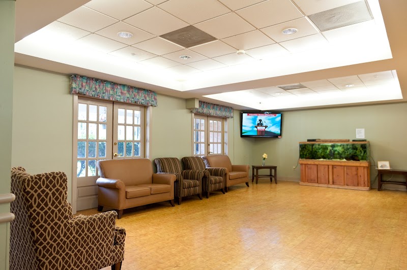 KING DAVID NURSING AND REHABILITATION CENTER nursing home in BALTIMORE, MD - Photo 2 of 5
