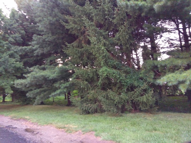 RIDGEWAY REHAB CENTER nursing home in CATONSVILLE, MD - Photo 5 of 5