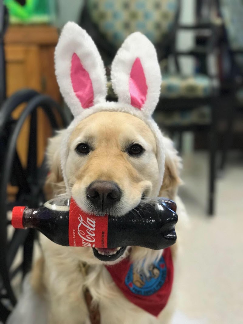 BEAUMONT REHAB & SKILLED NURSING CTR - WESTBORO nursing home in WESTBOROUGH, MA - Photo 4 of 10