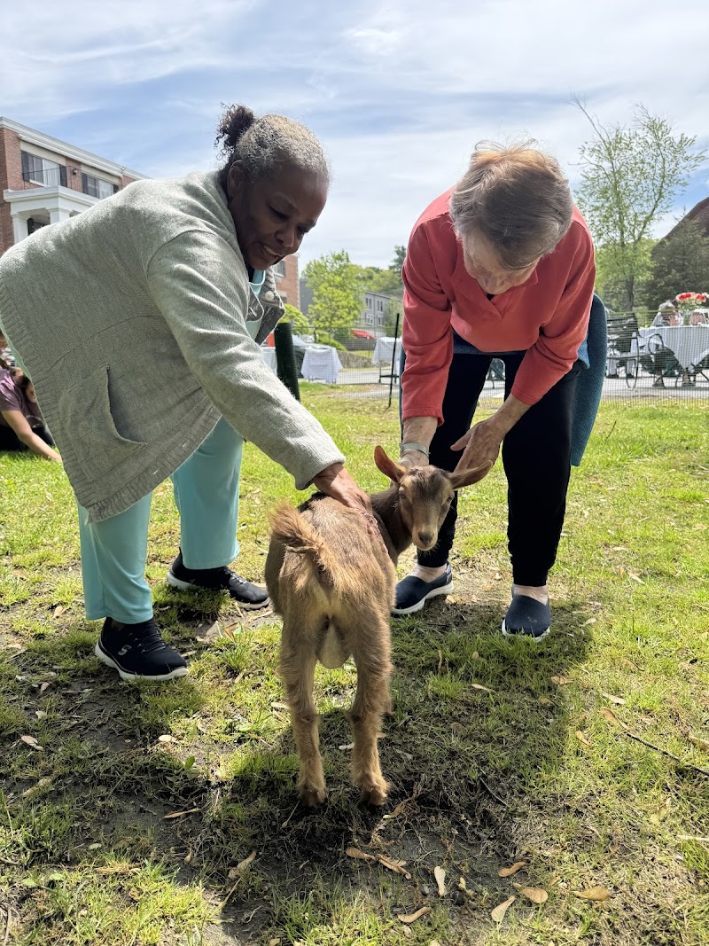 WEST NEWTON HEALTHCARE nursing home in WEST NEWTON, MA - Photo 2 of 5