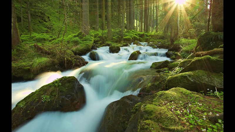 WILLIAMSTOWN COMMONS NURSING & REHAB nursing home in WILLIAMSTOWN, MA - Photo 5 of 6