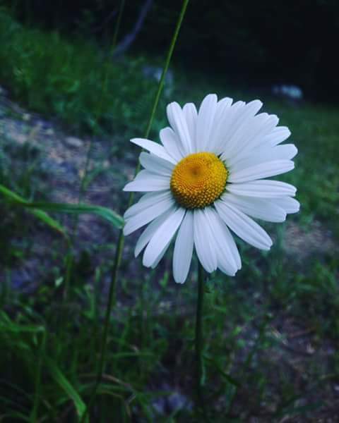 TIMBERLYN HEIGHTS NURSING AND REHABILITATION nursing home in GREAT BARRINGTON, MA - Photo 2 of 2